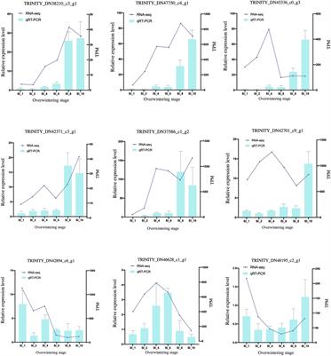 Frontiers | Transcriptomic And Metabolomic Data Reveal The Key ...